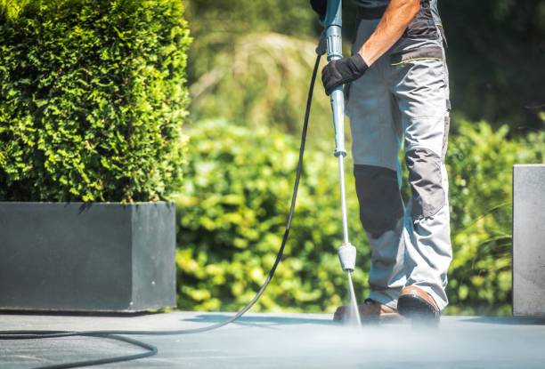 Best House Exterior Washing  in Lolo, MT