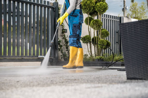 Best Sidewalk and Walkway Cleaning  in Lolo, MT