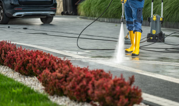 Best Fence Cleaning  in Lolo, MT